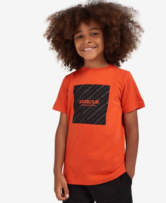 Boys Spicy Orange Barbour Sol T-Shirt 40VB2531